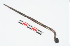 Foto von Bronzerollenkopfnadel (NHMW-PRAE-025599a)